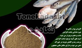 خرید اینترنتی پودر ماهی ضایعات جنوب