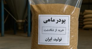 پودر ماهی ایرانی در کارخانه تولید، سرشار از پروتئین و مواد مغذی، مناسب برای خوراک دام، طیور و پرورش ماهی و میگو.