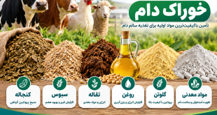 معرفی مواد اولیه خوراک دام شامل کنجاله، سبوس، تفاله، روغن، گلوتن و مواد معدنی توسط تنکادشت